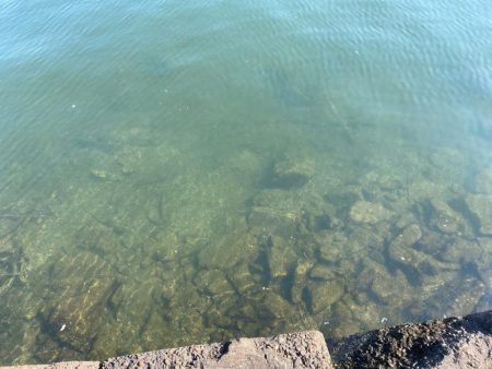 潮と心は少し濁ってるくらいが丁度いい