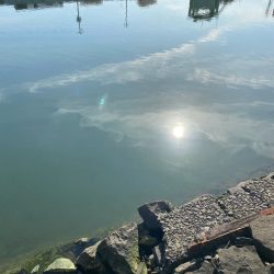 土曜日チニング