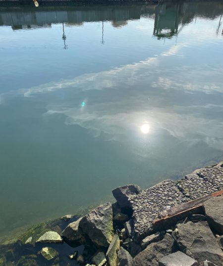 土曜日チニング