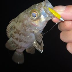 仕事終わりメバリング