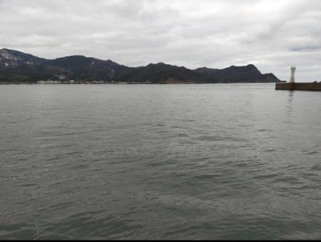 まさかのサワラ