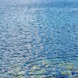 久しぶりの投稿