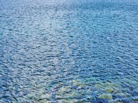 久しぶりの投稿