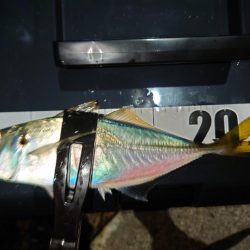 鼻水ジュルジュル罰ゲームアジング