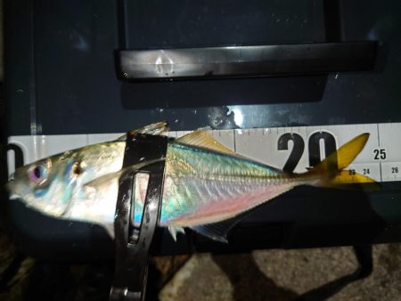 鼻水ジュルジュル罰ゲームアジング