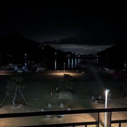 かぼちゃ島メバル🐟