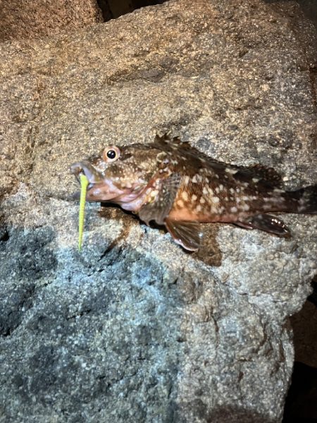 明石港東外港西防波堤灯台