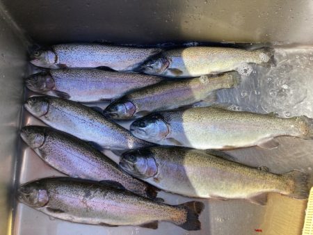 釣食浪漫 ~パターンを見極めろ!~