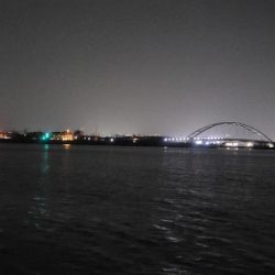 さすがに、もう厳しい様です