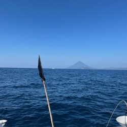 鹿児島のノッコミ真鯛を釣ってきました