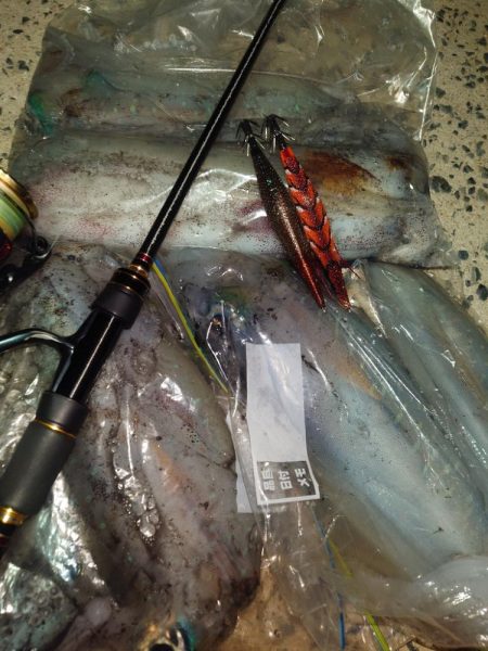 ナイトエギングIN対馬