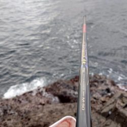 念願の50cmオーバー