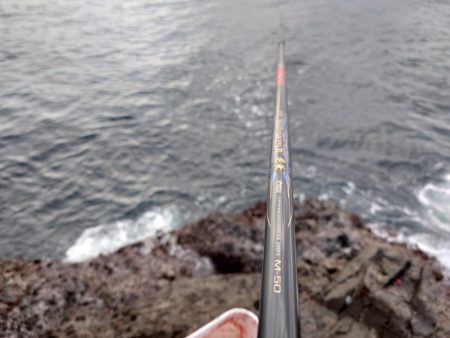 念願の50cmオーバー