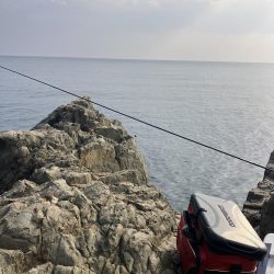 たかたかの釣り日記