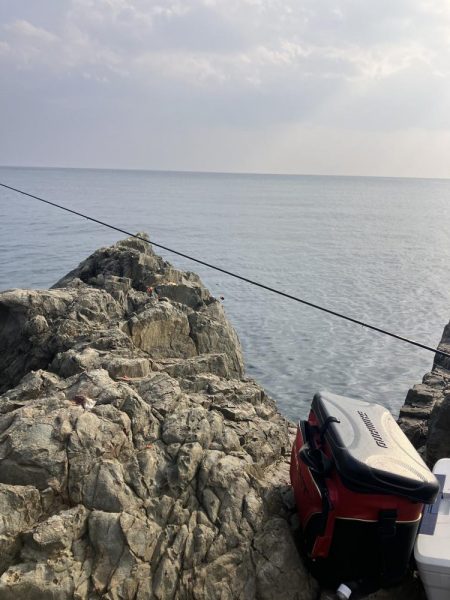 たかたかの釣り日記