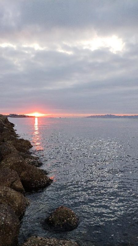 ガシラはなんとか