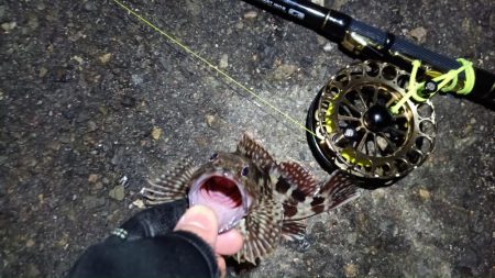 2024/02/25 南港ヘチ釣り釣行