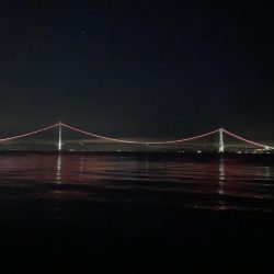 まぐれの寒グレ