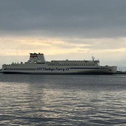 エビ撒きでハネ