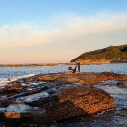 和歌山市江（吉丸渡船）でグレ釣り(2日目）