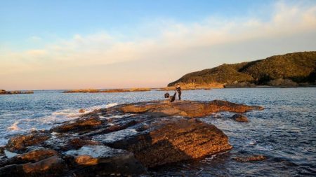 和歌山市江（吉丸渡船）でグレ釣り(2日目）