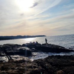 和歌山市江（吉丸渡船）でグレ釣り