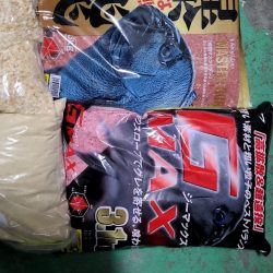 和歌山市江(吉丸渡船)でグレ釣り