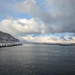 道内カレイついに本格化！？ホッケとカレイが爆釣する！！