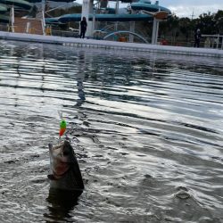 かめプー良いとこ一度はおいで〜