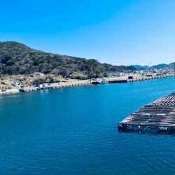 朝から人がたくさん