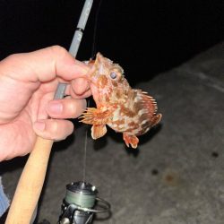 仕事帰りのちょこっとライトワインド♪