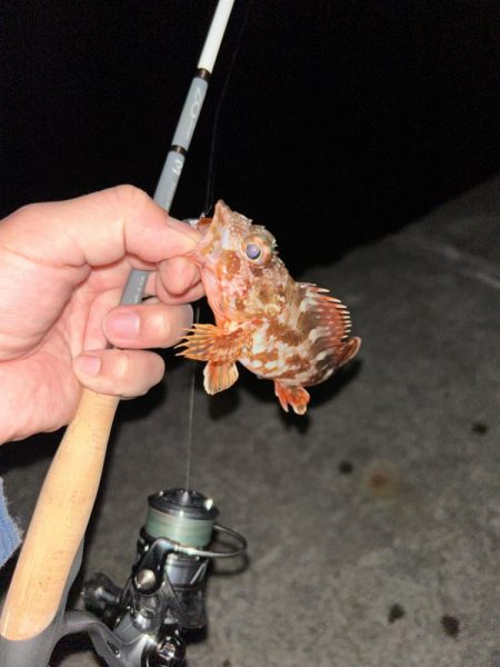 仕事帰りのちょこっとライトワインド♪