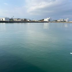 真昼間の短時間ライトゲーム