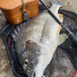 ヘチってきました