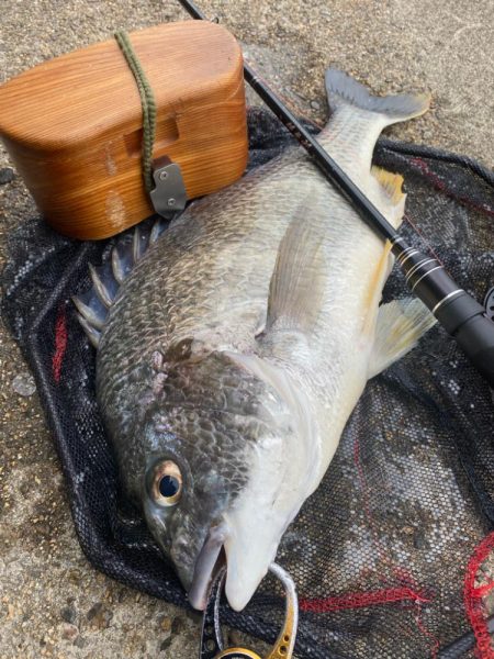 ヘチってきました