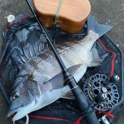 ヘチってきました