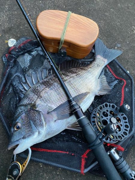 ヘチってきました