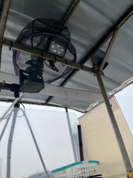 本命はシロアマダイでしたが