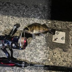 可愛いめばちゃん❤️