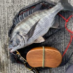 ヘチってきました