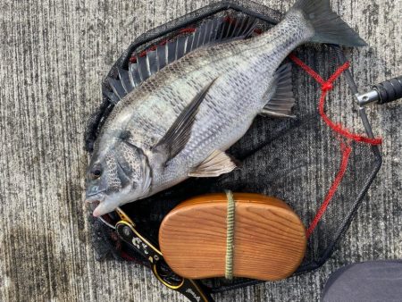 ヘチってきました