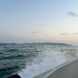 タチウオテンヤ