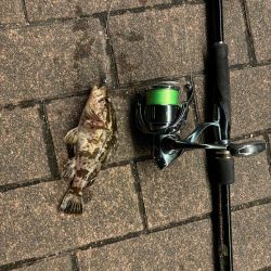 前回と同じとはならず🐟