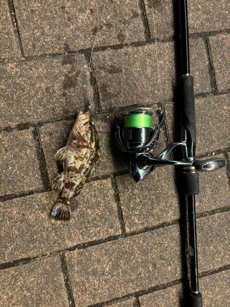 前回と同じとはならず🐟