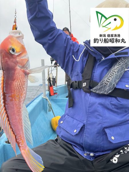 新潟寝屋港の釣り船昭和丸　真鯛、甘鯛タイラバLJ便2月25日釣果情報