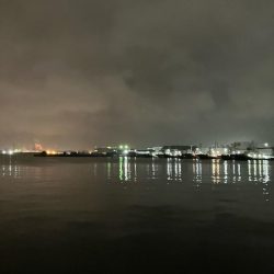 教えたくないけど、爆釣の千葉港