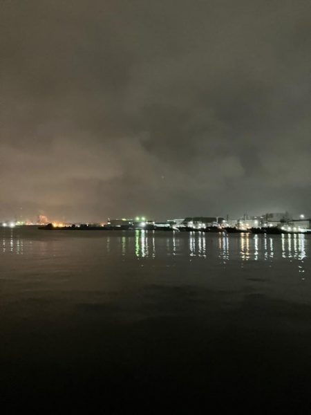 教えたくないけど、爆釣の千葉港