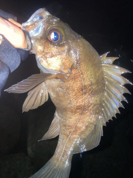 2024ライトゲーム第3戦