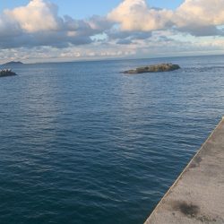 狙い通りに釣れたら嬉しいですね♪