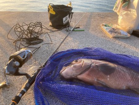 初かぶせでデカコブゲット！